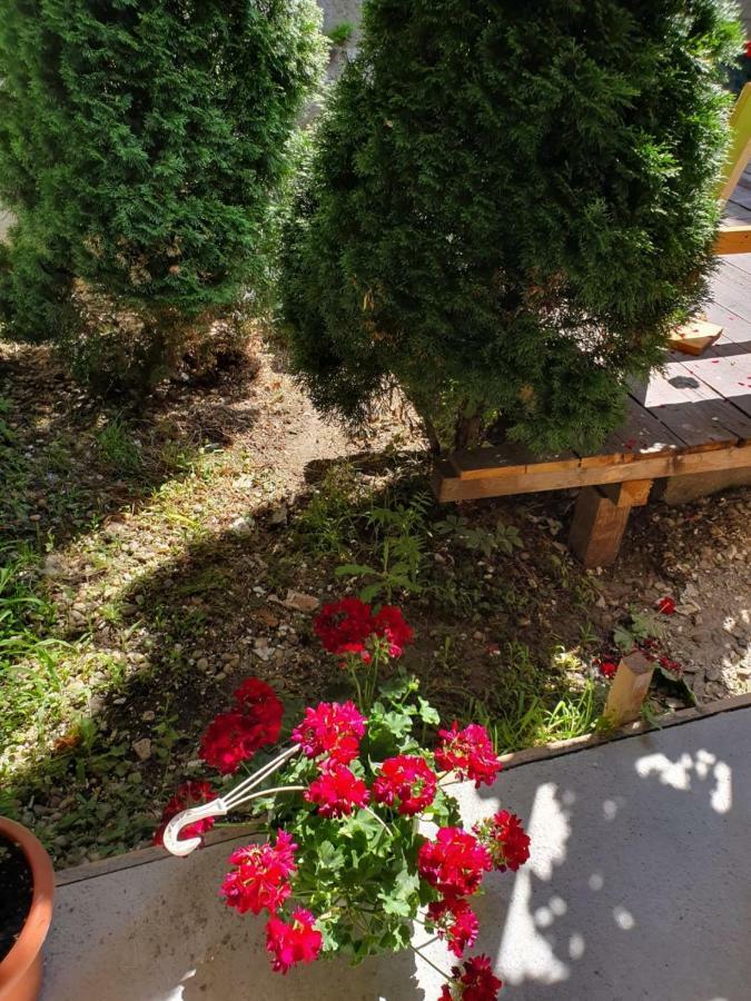 Tranzitbeds*** Aparthotel Bucureşti Ngoại thất bức ảnh